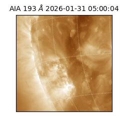 saia - 2026-01-31T05:00:04.843000