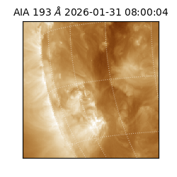 saia - 2026-01-31T08:00:04.843000