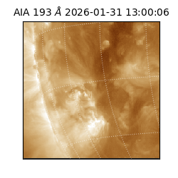 saia - 2026-01-31T13:00:06.937000