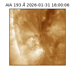 saia - 2026-01-31T16:00:06.936000