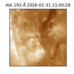 saia - 2026-01-31T21:00:28.843000