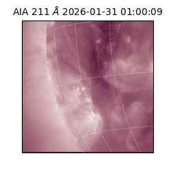 saia - 2026-01-31T01:00:09.629000