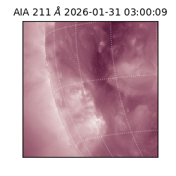 saia - 2026-01-31T03:00:09.630000