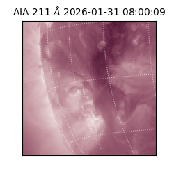 saia - 2026-01-31T08:00:09.626000