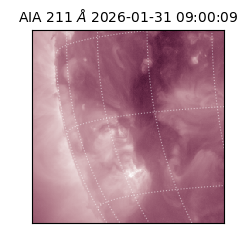 saia - 2026-01-31T09:00:09.626000