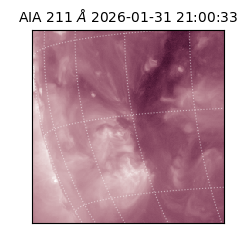 saia - 2026-01-31T21:00:33.629000