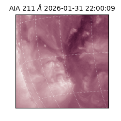 saia - 2026-01-31T22:00:09.626000