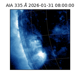 saia - 2026-01-31T08:00:00.625000