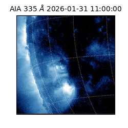 saia - 2026-01-31T11:00:00.633000