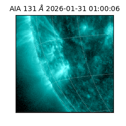 saia - 2026-01-31T01:00:06.622000