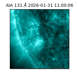 saia - 2026-01-31T11:00:06.622000