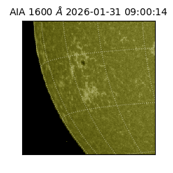 saia - 2026-01-31T09:00:14.125000