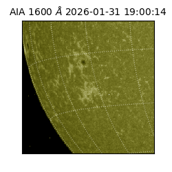 saia - 2026-01-31T19:00:14.126000