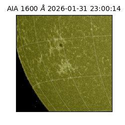 saia - 2026-01-31T23:00:14.126000