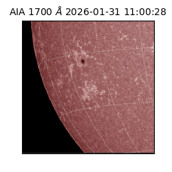 saia - 2026-01-31T11:00:28.737000