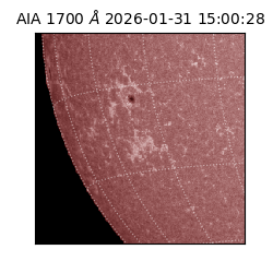 saia - 2026-01-31T15:00:28.748000