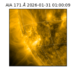 saia - 2026-01-31T01:00:09.349000