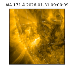 saia - 2026-01-31T09:00:09.350000