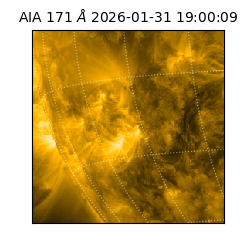 saia - 2026-01-31T19:00:09.350000