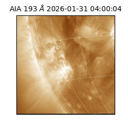 saia - 2026-01-31T04:00:04.843000