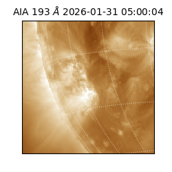 saia - 2026-01-31T05:00:04.843000