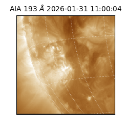 saia - 2026-01-31T11:00:04.843000