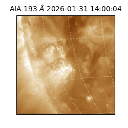 saia - 2026-01-31T14:00:04.843000