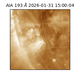 saia - 2026-01-31T15:00:04.843000