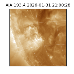 saia - 2026-01-31T21:00:28.843000