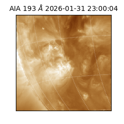 saia - 2026-01-31T23:00:04.843000