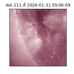 saia - 2026-01-31T05:00:09.630000