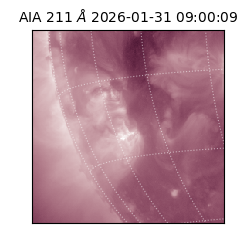 saia - 2026-01-31T09:00:09.626000