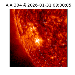 saia - 2026-01-31T09:00:05.133000