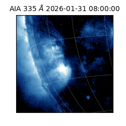 saia - 2026-01-31T08:00:00.625000