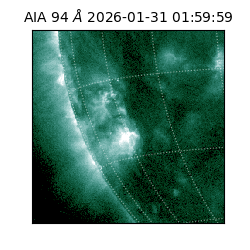 saia - 2026-01-31T01:59:59.122000