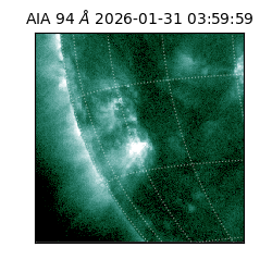 saia - 2026-01-31T03:59:59.122000