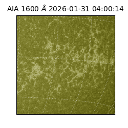 saia - 2026-01-31T04:00:14.126000