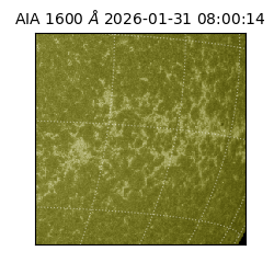 saia - 2026-01-31T08:00:14.126000