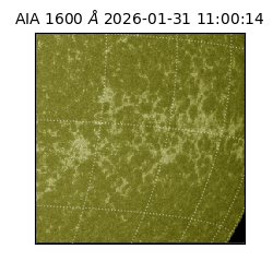 saia - 2026-01-31T11:00:14.126000