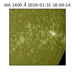 saia - 2026-01-31T16:00:14.125000