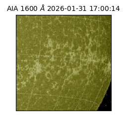 saia - 2026-01-31T17:00:14.126000