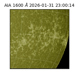 saia - 2026-01-31T23:00:14.126000