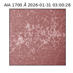 saia - 2026-01-31T03:00:28.718000