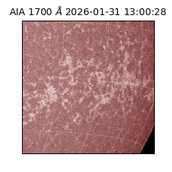 saia - 2026-01-31T13:00:28.720000