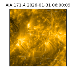 saia - 2026-01-31T06:00:09.349000