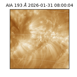 saia - 2026-01-31T08:00:04.843000