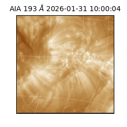 saia - 2026-01-31T10:00:04.843000