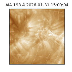 saia - 2026-01-31T15:00:04.843000