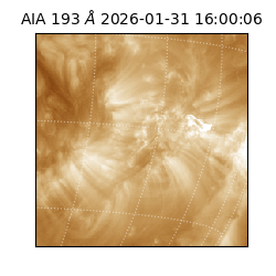 saia - 2026-01-31T16:00:06.936000