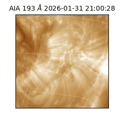 saia - 2026-01-31T21:00:28.843000